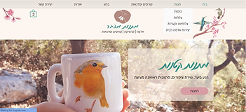 מתנות מהבר - האתר של רחל