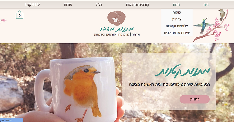 רחל גולדברג