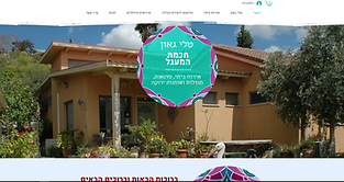 חכמת המעגל - טלי גאון