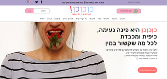 כןכןכן - חנות צעצועי מין
