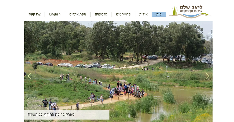 liav-shalem