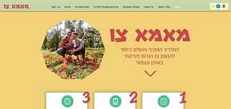 פרוייקט חברתי להנגשת מידע